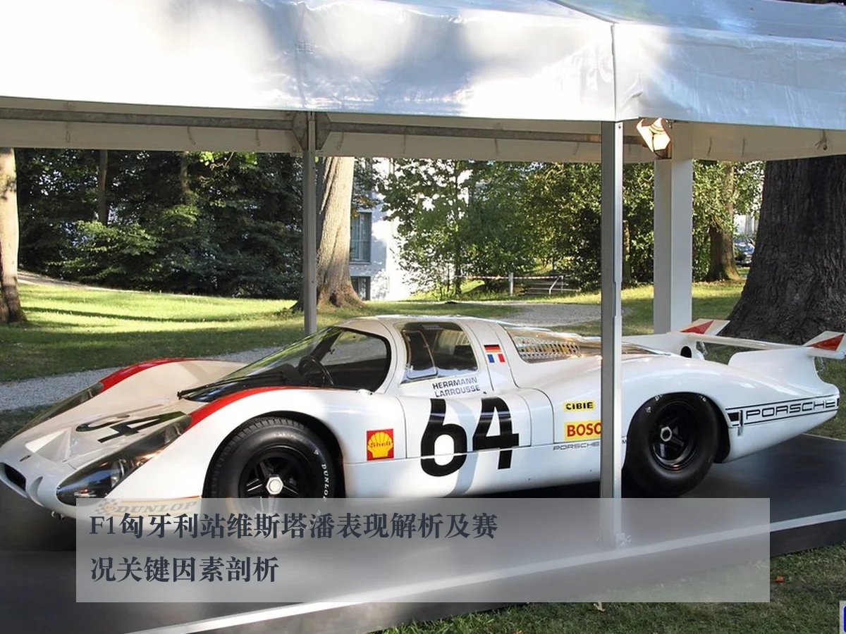 F1匈牙利站维斯塔潘表现解析及赛况关键因素剖析